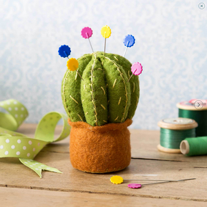 Felted cactus with pins on it.