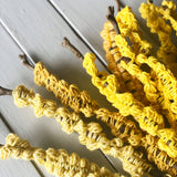 Crochet Wattle by Alison Thompson Digital Pattern