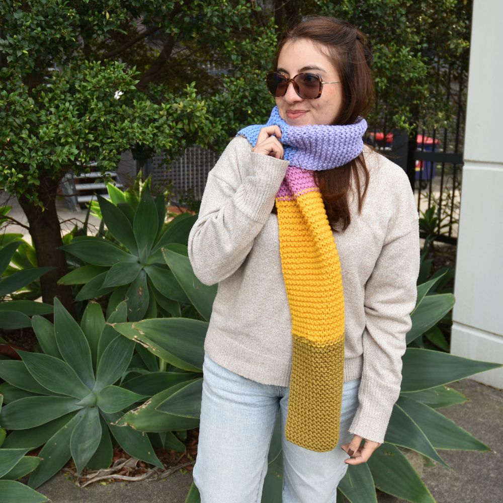 Class in a Box: Learn to Knit Scarf Kit