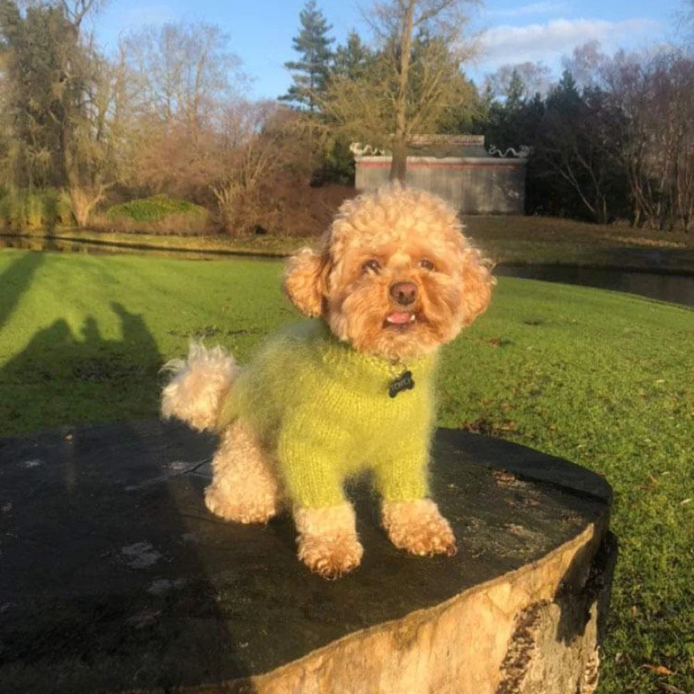 Spektakelstrik - Fat Fur Dog Digital Pattern