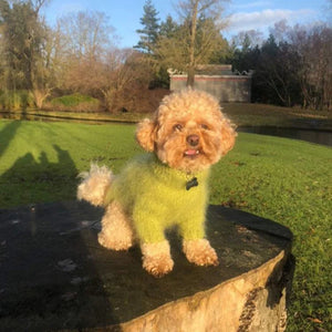 Spektakelstrik - Fat Fur Dog Digital Pattern