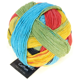 Schoppel Zauberball Cotton