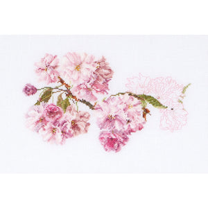 Thea Gouverneur Prunus