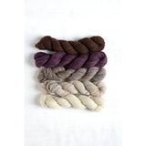 Believe Interchangeable Needle Set + Manos Fino Miniskeins + Pirouette Cowl Pattern
