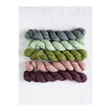 Believe Interchangeable Needle Set + Manos Fino Miniskeins + Pirouette Cowl Pattern