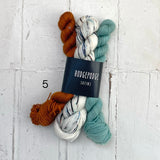 Colourwork Socks (Sydney)
