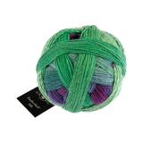 Schoppel Zauberball 100