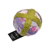 Schoppel Zauberball Cotton