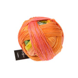 Schoppel Gradient