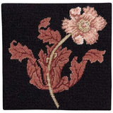 Miniature Compton (Brown)