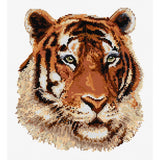 DMC Tiger