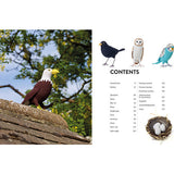 Crocheted Birds: A flock of feathered friends to make