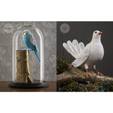 Crocheted Birds: A flock of feathered friends to make