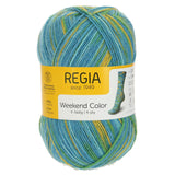 Regia Colour 4ply 100g