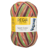 Regia Colour 4ply 100g