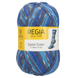 Regia Colour 4ply 100g