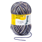 Regia Colour 6ply