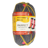 Regia Pairfect 4ply