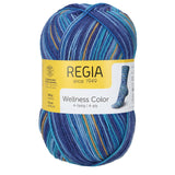 Regia Colour 4ply 100g