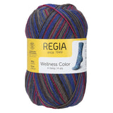 Regia Colour 4ply 100g