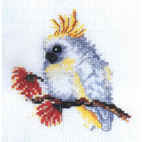 Baby Cockatoo
