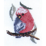 Baby Galah - Morris & Sons Australia