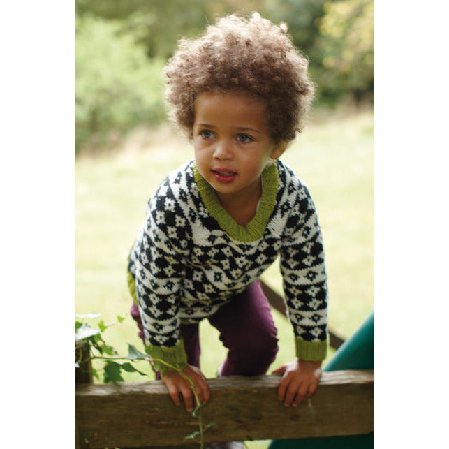 Little Rowan Explorers by Martin Storey - Morris & Sons Australia