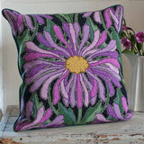 Asters - Morris & Sons Australia