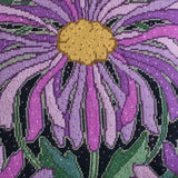 Asters - Morris & Sons Australia