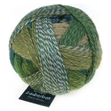Schoppel Zauberball Crazy