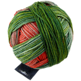 Schoppel Gradient