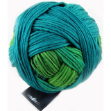 Schoppel Gradient