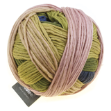 Schoppel Gradient