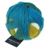 Schoppel Zauberball 100