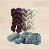Incremento Shawl Kit