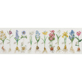 Thea Gouverneur Bulbs