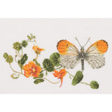 Thea Gouverneur Butterfly Nasturtium