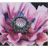 Thea Gouverneur Poppy