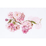 Thea Gouverneur Prunus